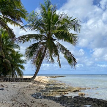 Sella bay: idealna plaža za osamljivanje ili kampovanje na Guamu; Foto: Milica Lepojeviæ/Privatna arhiva