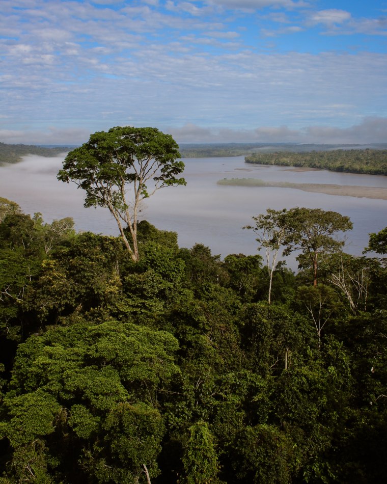 Amazonija, Foto: Aleksandar Despotoviæ